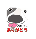『犬バカ日記』（個別スタンプ：23）