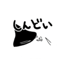 ときどき毒突くねこ（個別スタンプ：12）