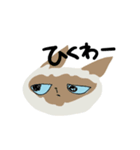 ときどき毒突くねこ（個別スタンプ：31）