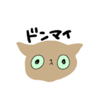 ときどき毒突くねこ（個別スタンプ：36）
