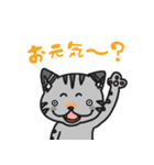 ねこのボウビィ（個別スタンプ：11）