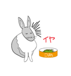 うさぎのなーちん（個別スタンプ：6）