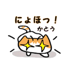 かとうさん用猫スタンプ（個別スタンプ：19）