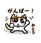 かとうさん用猫スタンプ（個別スタンプ：31）