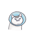ネコの 福丸 スタンプ（個別スタンプ：26）