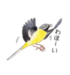 日本の野鳥3（個別スタンプ：6）