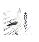 日本の野鳥3（個別スタンプ：8）