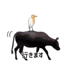 日本の野鳥3（個別スタンプ：25）