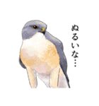 日本の野鳥3（個別スタンプ：32）