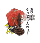 日本の野鳥3（個別スタンプ：35）