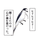 日本の野鳥3（個別スタンプ：38）