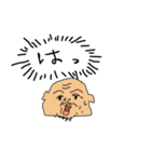 父ひろし5（個別スタンプ：1）