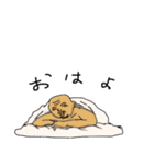 父ひろし5（個別スタンプ：6）