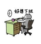Normal Cat 2 - Normal Cat return（個別スタンプ：9）
