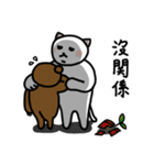Normal Cat 2 - Normal Cat return（個別スタンプ：17）