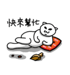 Normal Cat 2 - Normal Cat return（個別スタンプ：18）