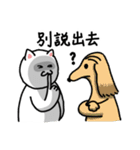 Normal Cat 2 - Normal Cat return（個別スタンプ：20）
