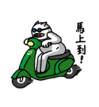 Normal Cat 2 - Normal Cat return（個別スタンプ：28）