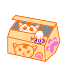 Stealing money cat Asha+Emily And Alger（個別スタンプ：2）