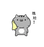 Old cat ~ small gray cat（個別スタンプ：12）