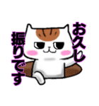 安定のブサイク猫 【敬語】（個別スタンプ：5）
