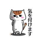 安定のブサイク猫 【敬語】（個別スタンプ：24）