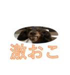 リリーの気持ち（個別スタンプ：2）