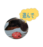 リリーの気持ち（個別スタンプ：4）