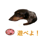 リリーの気持ち（個別スタンプ：5）