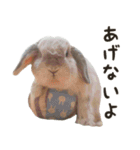 るーくんとかるくん（個別スタンプ：2）