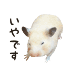 るーくんとかるくん（個別スタンプ：3）