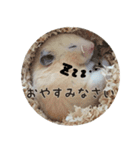 るーくんとかるくん（個別スタンプ：4）