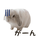 るーくんとかるくん（個別スタンプ：5）