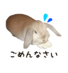 るーくんとかるくん（個別スタンプ：7）