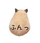 るーくんとかるくん（個別スタンプ：13）