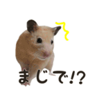 るーくんとかるくん（個別スタンプ：14）