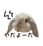 るーくんとかるくん（個別スタンプ：15）