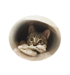 Hamdude（個別スタンプ：32）