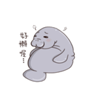manatee - Nice to meet you（個別スタンプ：6）