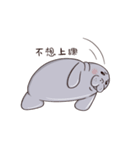 manatee - Nice to meet you（個別スタンプ：8）