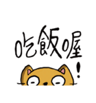 Paulcat~Hand-painted map（個別スタンプ：22）