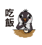 penguin dongdong（個別スタンプ：1）