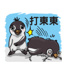 penguin dongdong（個別スタンプ：3）