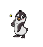 penguin dongdong（個別スタンプ：6）