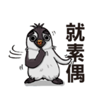 penguin dongdong（個別スタンプ：14）