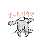ふわもこトイプーの毎日（個別スタンプ：24）
