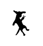 Shadow dogs ＆ cats v.1（個別スタンプ：3）