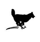 Shadow dogs ＆ cats v.1（個別スタンプ：6）