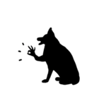 Shadow dogs ＆ cats v.1（個別スタンプ：13）