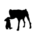 Shadow dogs ＆ cats v.1（個別スタンプ：16）